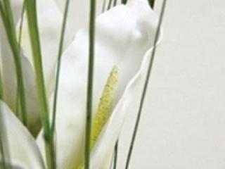 Hotel Boutique Oberkassel 3*